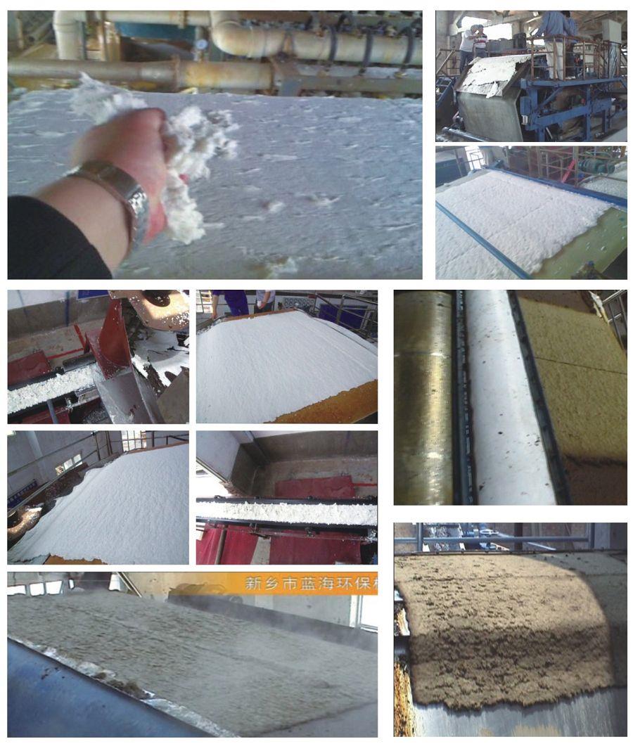 Pulp Pressing Machine supplier